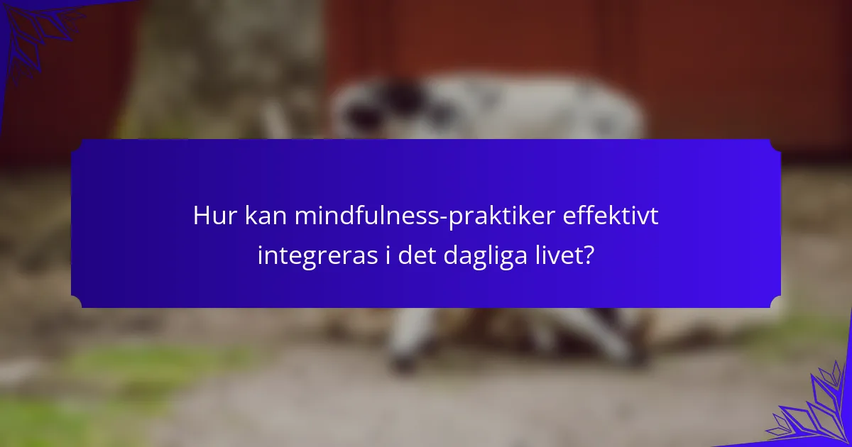 Hur kan mindfulness-praktiker effektivt integreras i det dagliga livet?