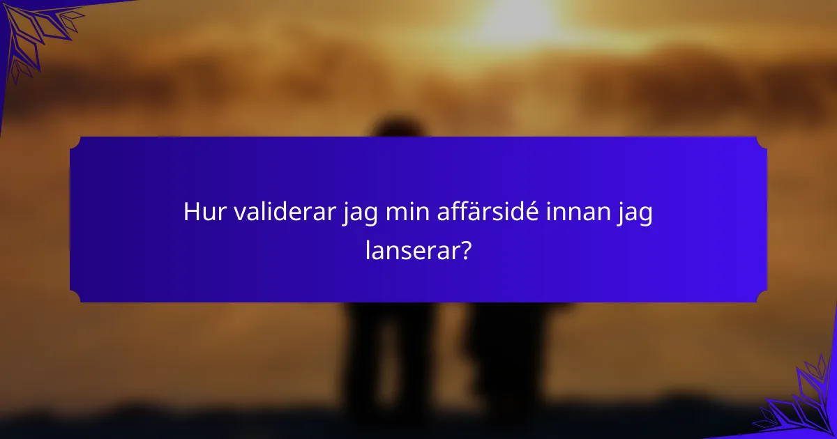 Hur validerar jag min affärsidé innan jag lanserar?