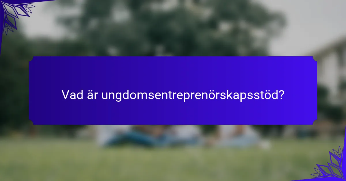 Vad är ungdomsentreprenörskapsstöd?