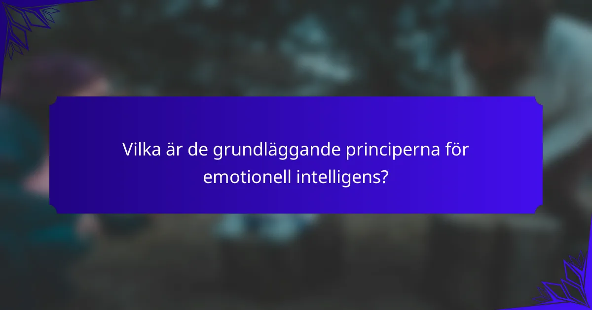 Vilka är de grundläggande principerna för emotionell intelligens?
