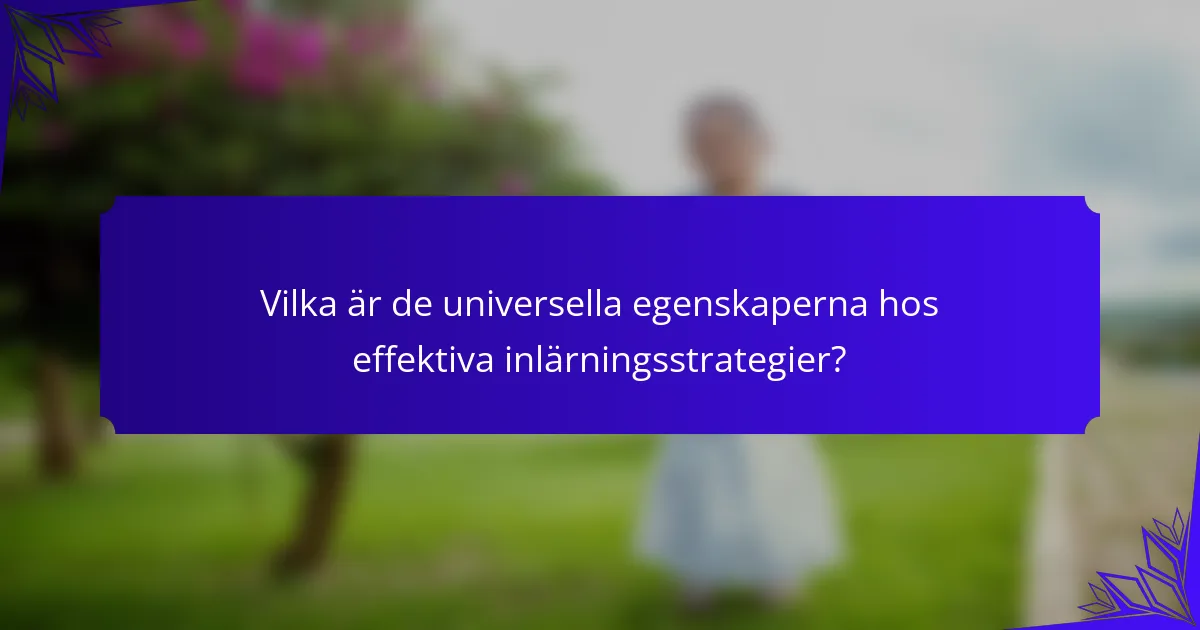 Vilka är de universella egenskaperna hos effektiva inlärningsstrategier?