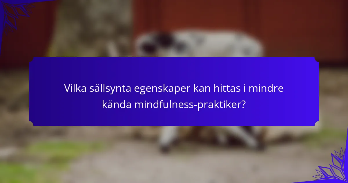 Vilka sällsynta egenskaper kan hittas i mindre kända mindfulness-praktiker?