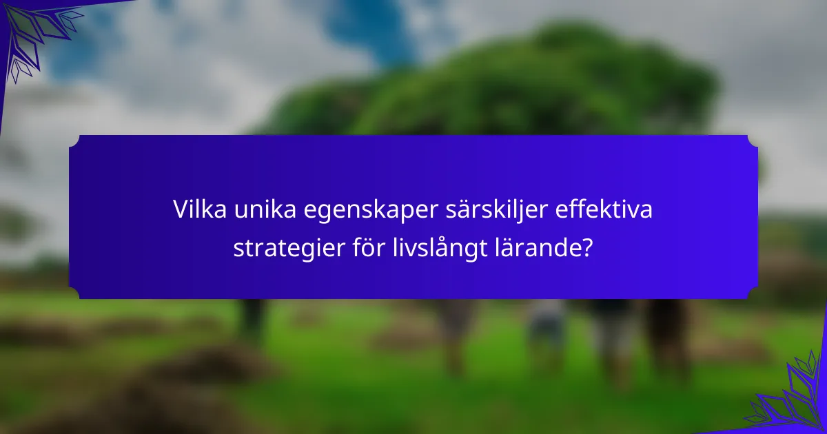 Vilka unika egenskaper särskiljer effektiva strategier för livslångt lärande?